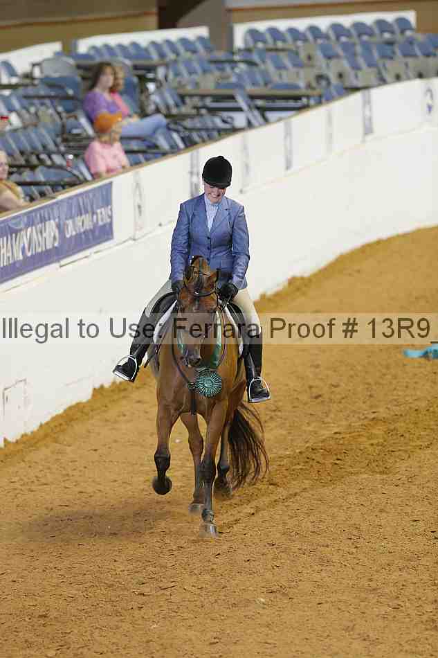 Proof Number 13r9_2884