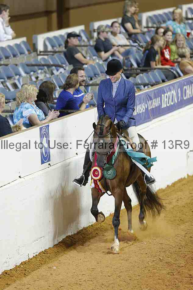 Proof Number 13r9_2889
