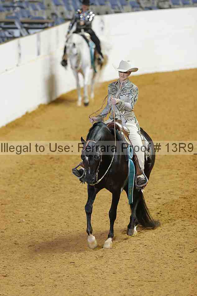 Proof Number 13r9_2923