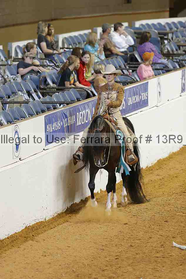 Proof Number 13r9_2930