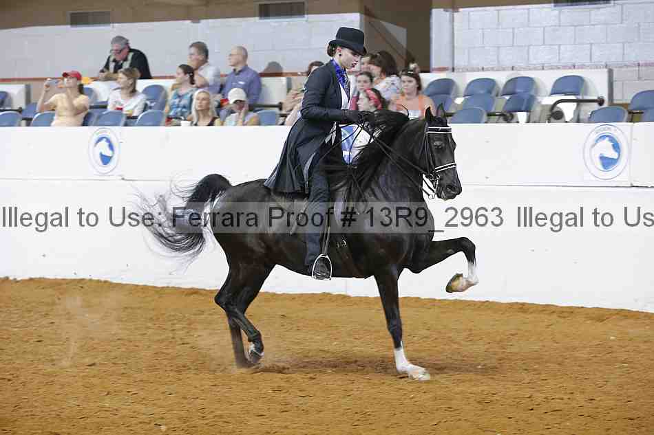 Proof Number 13r9_2963
