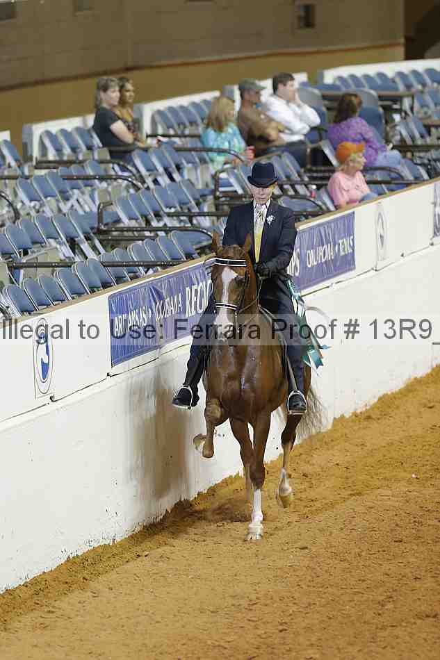 Proof Number 13r9_2981