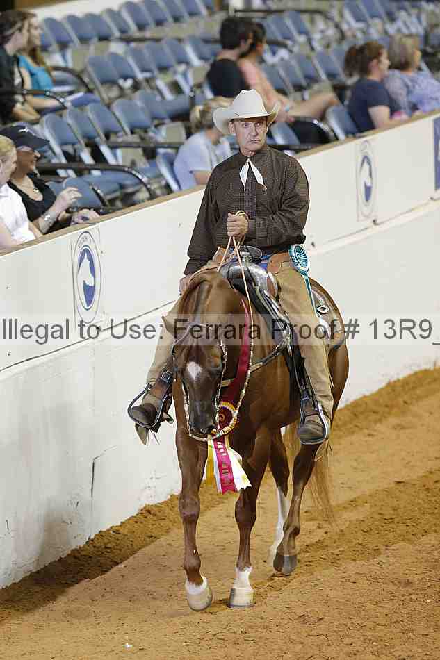 Proof Number 13r9_3027