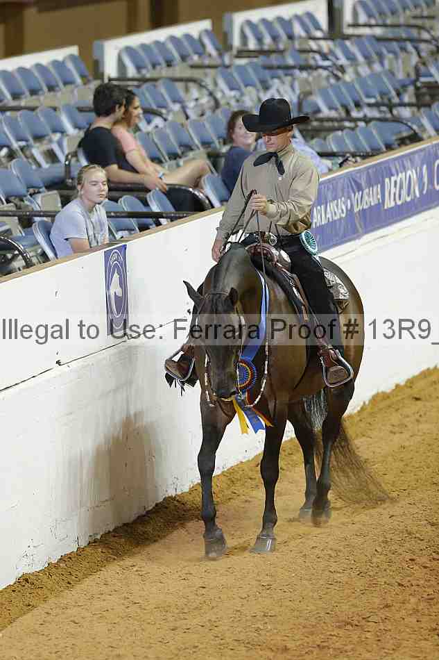 Proof Number 13r9_3028