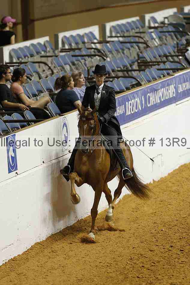 Proof Number 13r9_3041