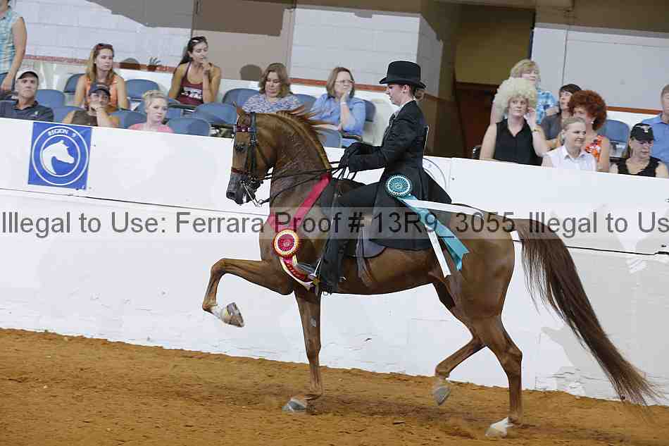 Proof Number 13r9_3055