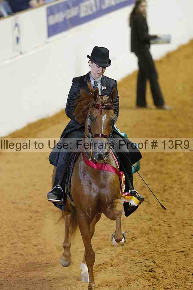 Proof Number 13r9_3056