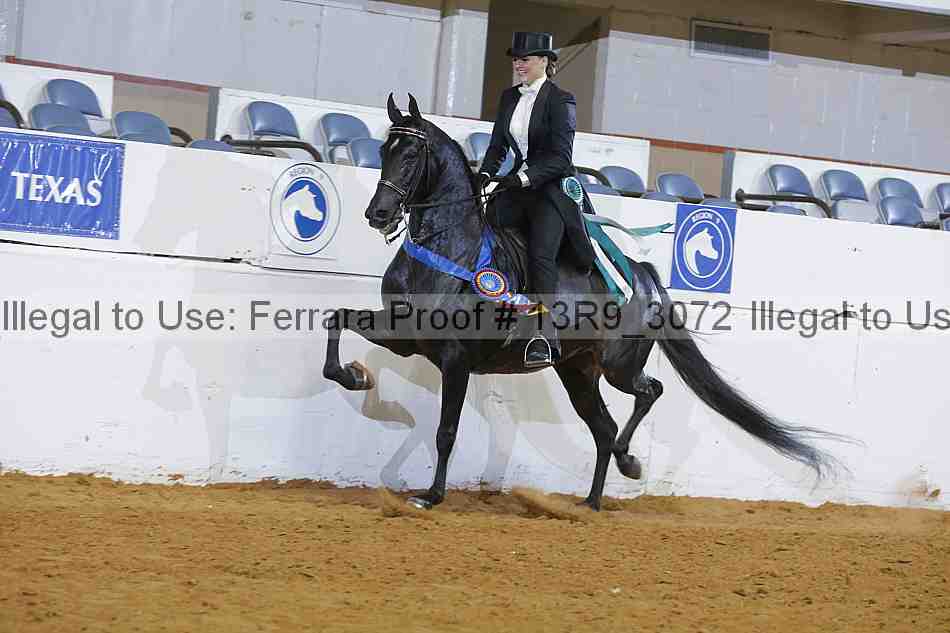 Proof Number 13r9_3072