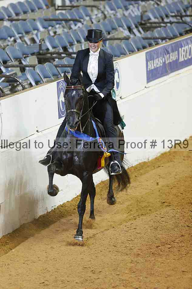 Proof Number 13r9_3074