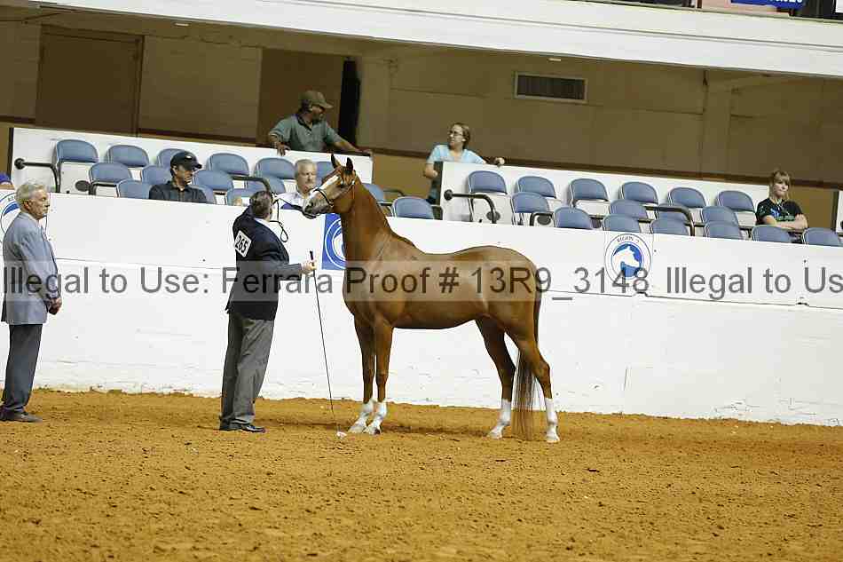 Proof Number 13r9_3148