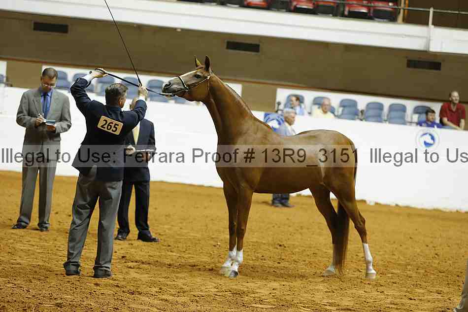Proof Number 13r9_3151