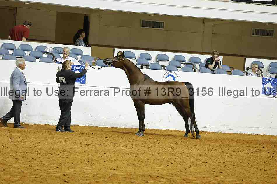 Proof Number 13r9_3156