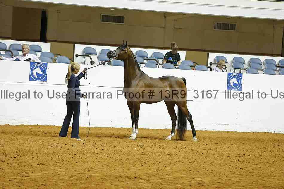 Proof Number 13r9_3167