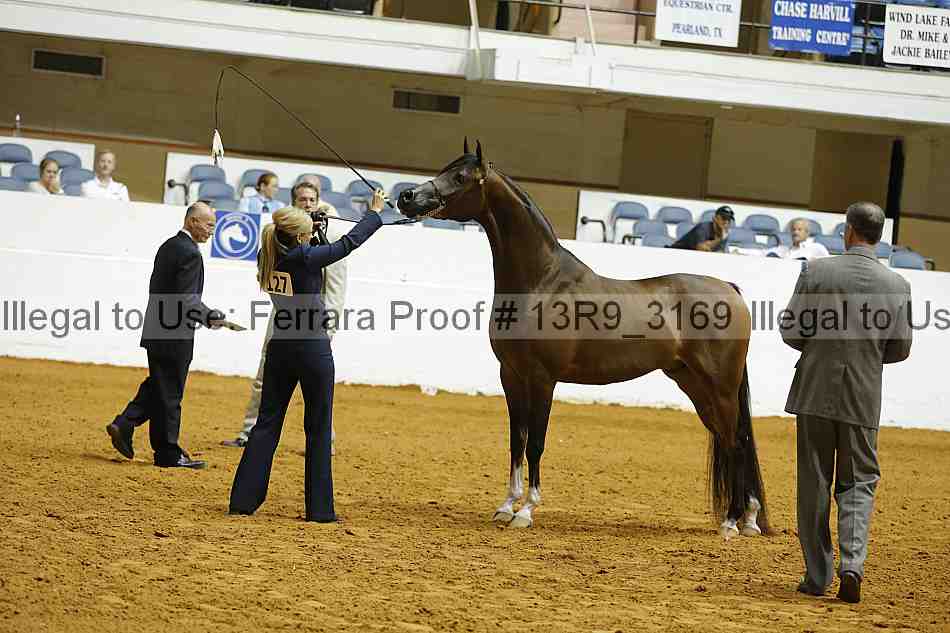 Proof Number 13r9_3169