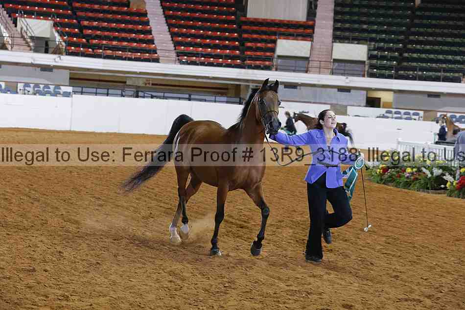 Proof Number 13r9_3188