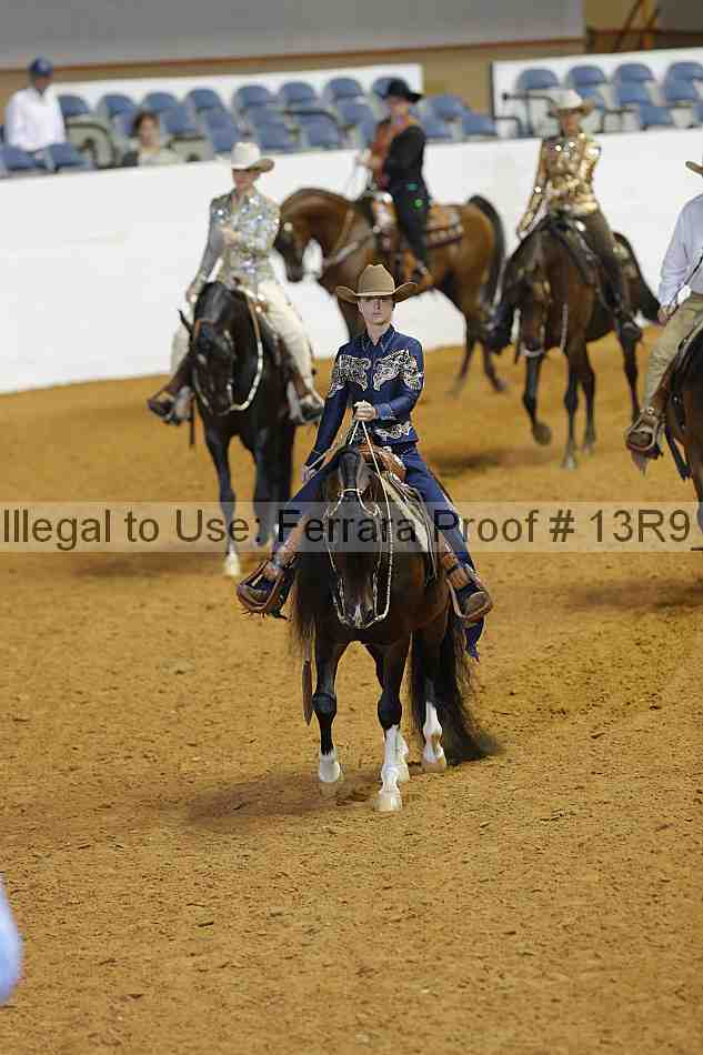 Proof Number 13r9_3234