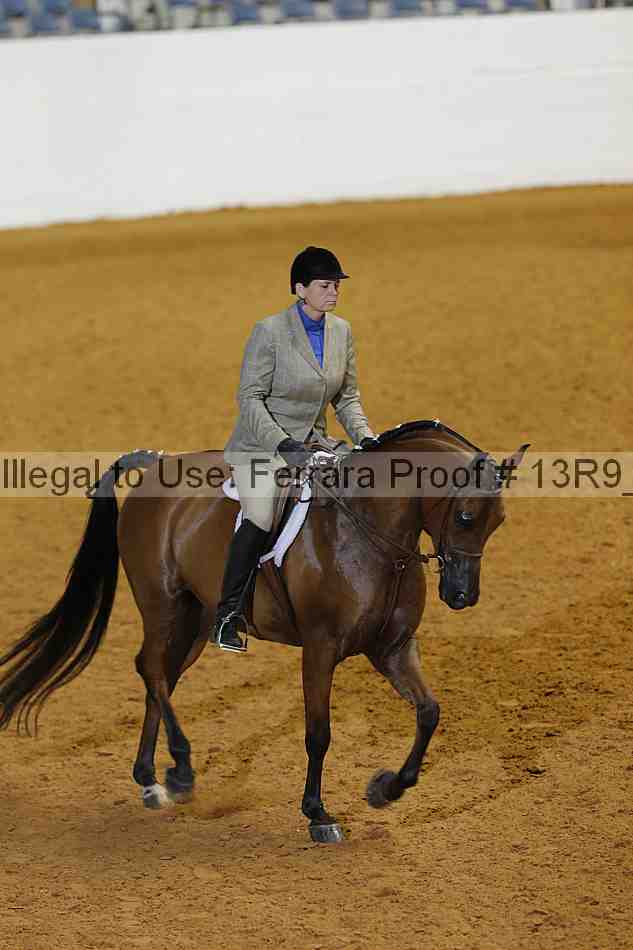 Proof Number 13r9_3294