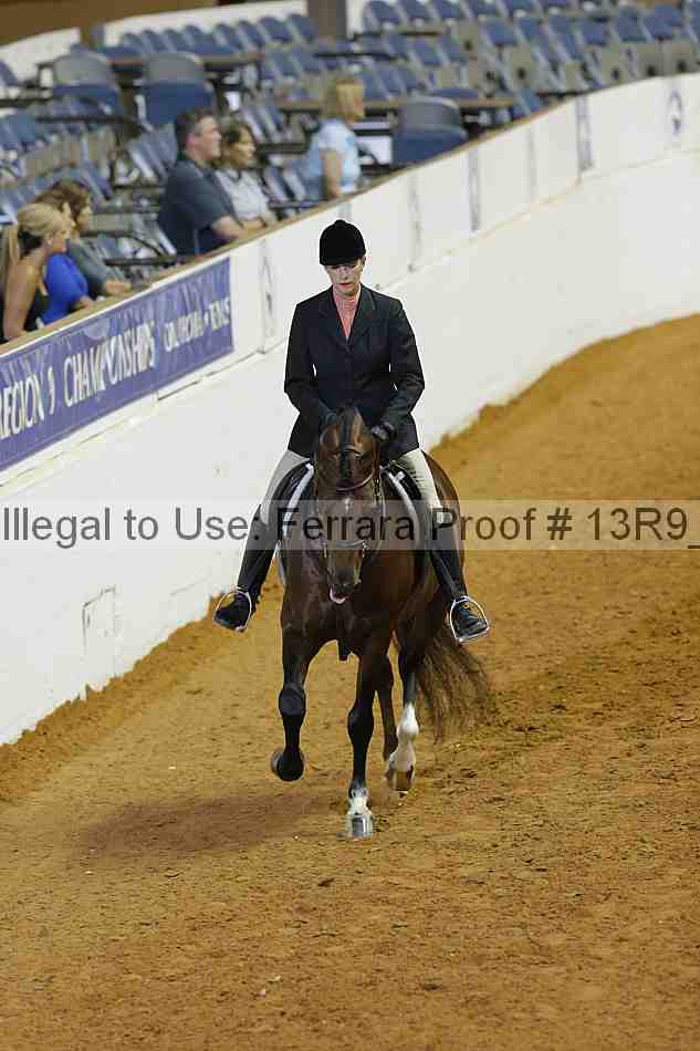 Proof Number 13r9_3305