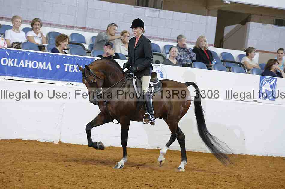 Proof Number 13r9_3308
