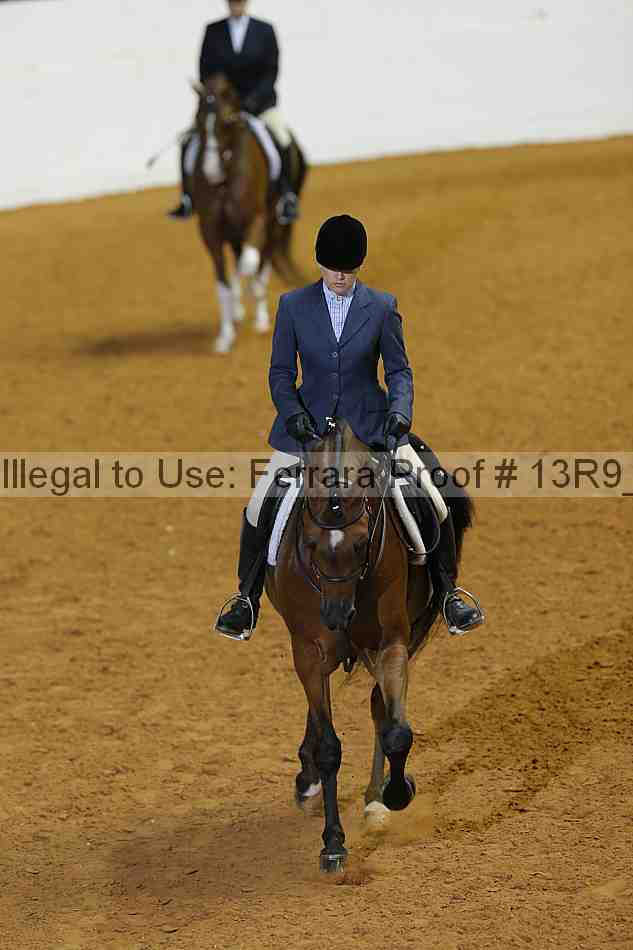 Proof Number 13r9_3310