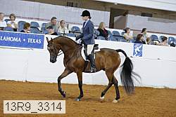 13r9_3314 thumbnail