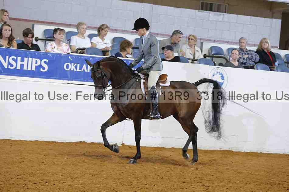 Proof Number 13r9_3318
