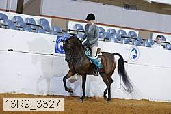 13r9_3327 thumbnail