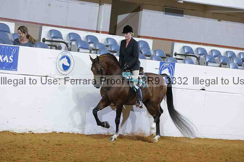 Proof Number 13r9_3332