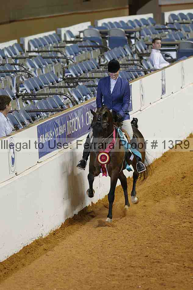 Proof Number 13r9_3340