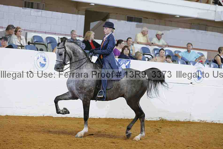 Proof Number 13r9_3373