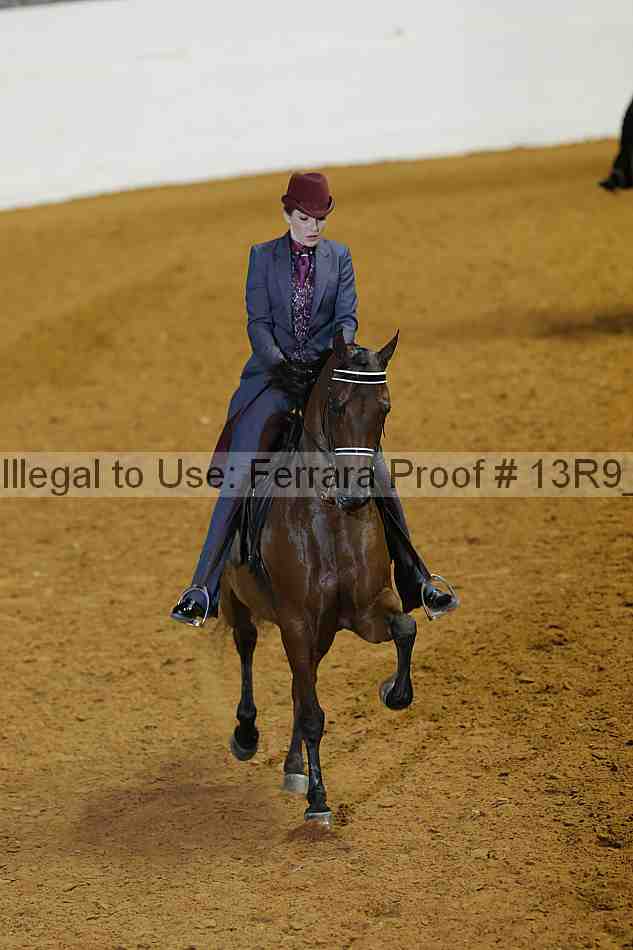 Proof Number 13r9_3375