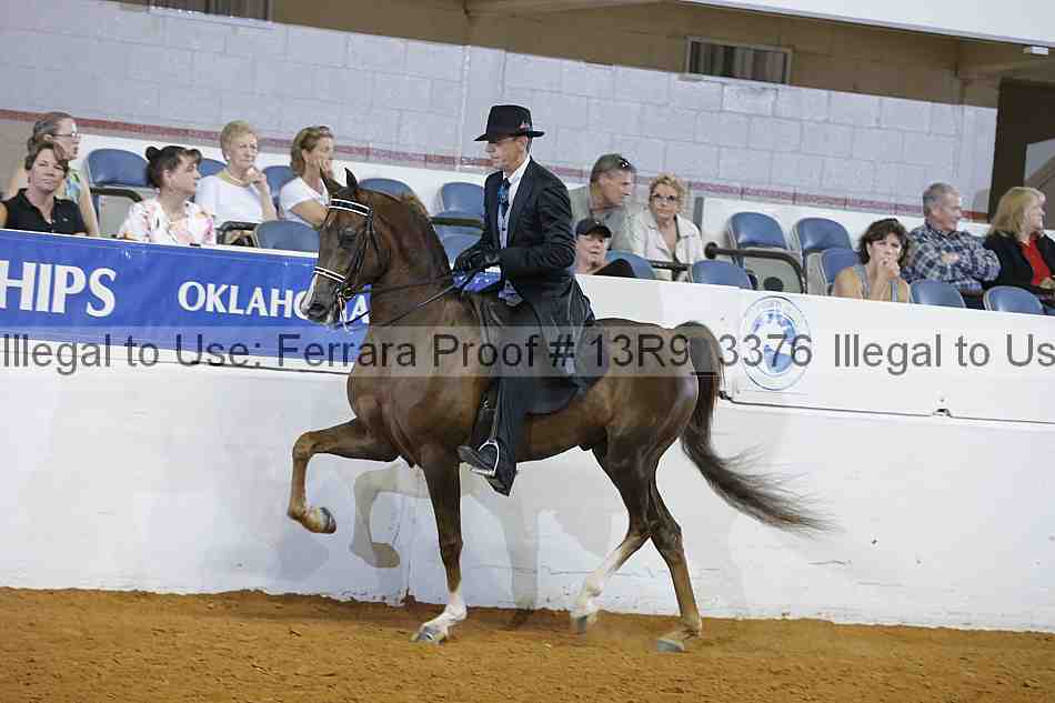 Proof Number 13r9_3376