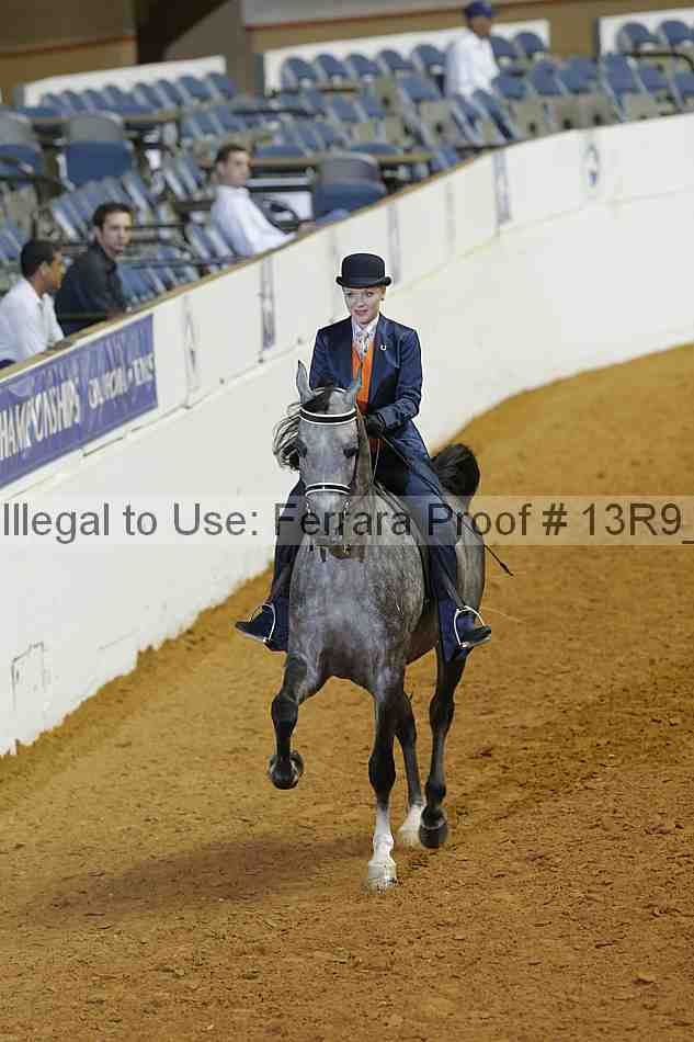 Proof Number 13r9_3386