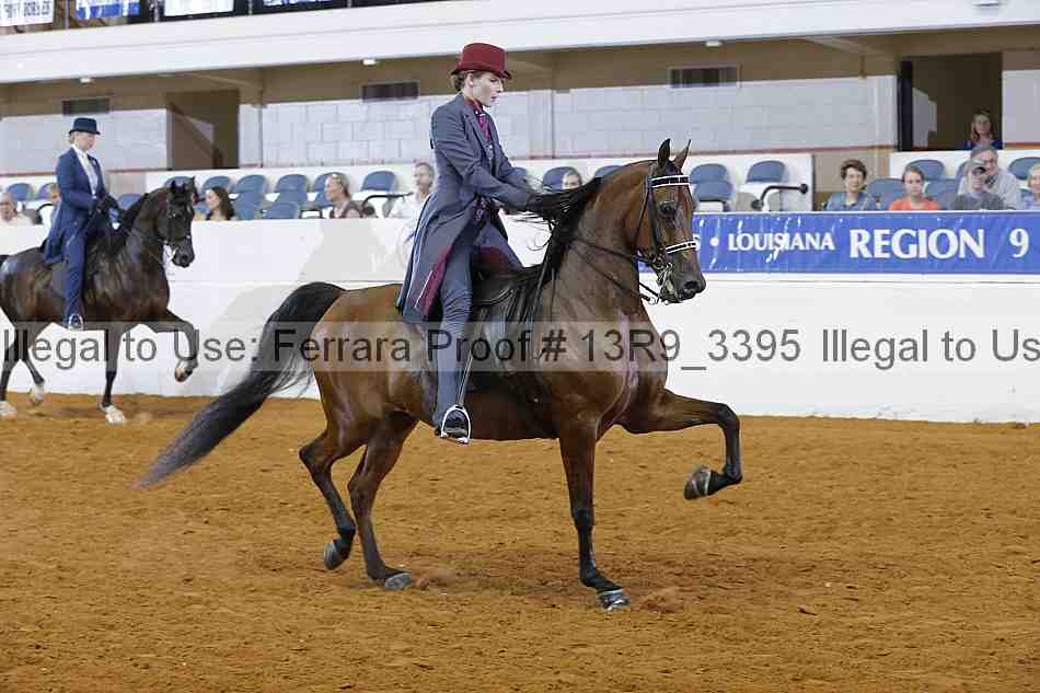 Proof Number 13r9_3395