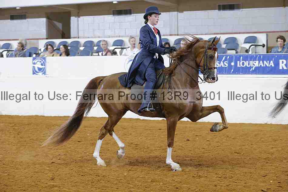 Proof Number 13r9_3401