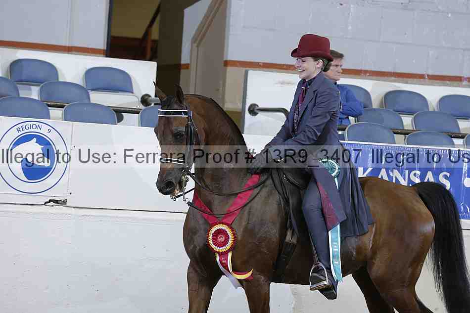 Proof Number 13r9_3407