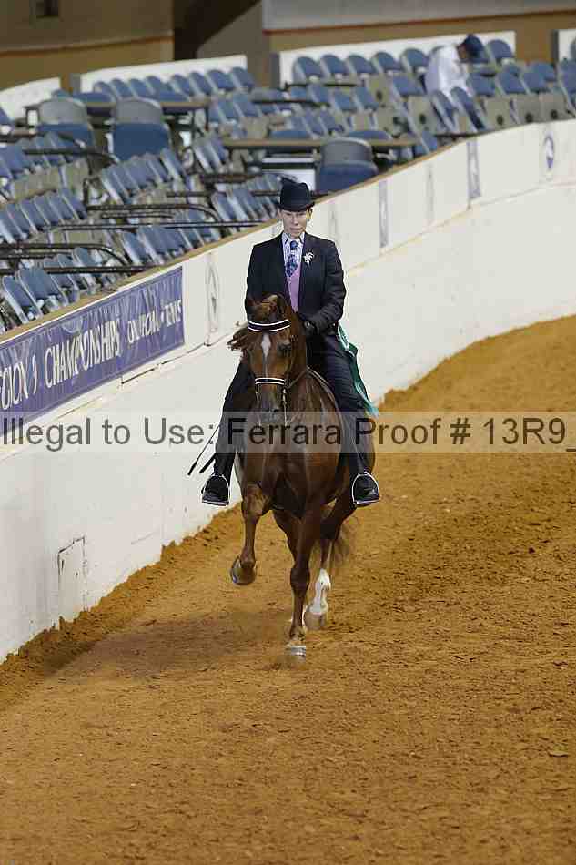 Proof Number 13r9_3429
