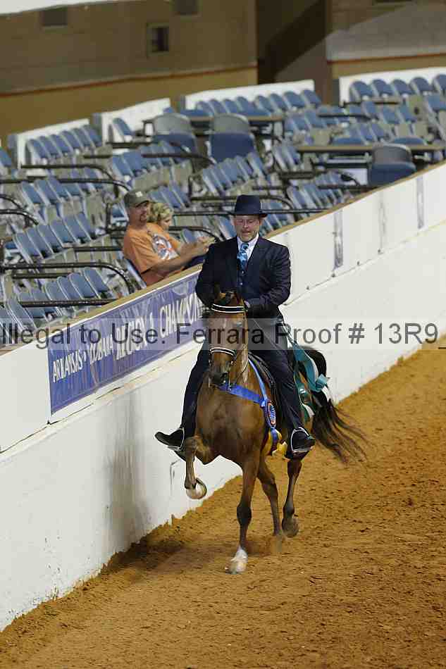 Proof Number 13r9_3478