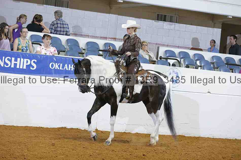 Proof Number 13r9_3485