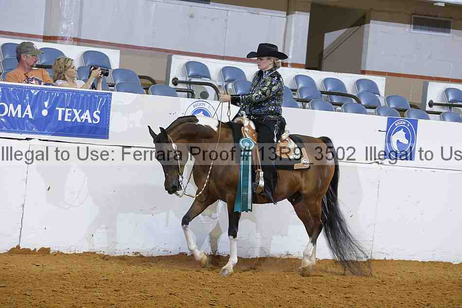 Proof Number 13r9_3502
