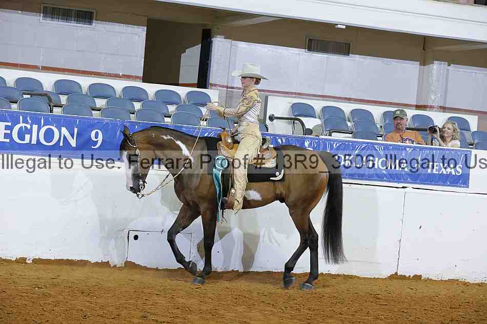 Proof Number 13r9_3506