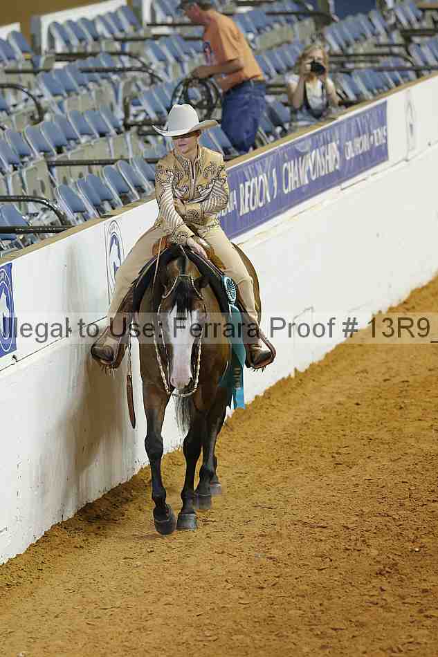 Proof Number 13r9_3508