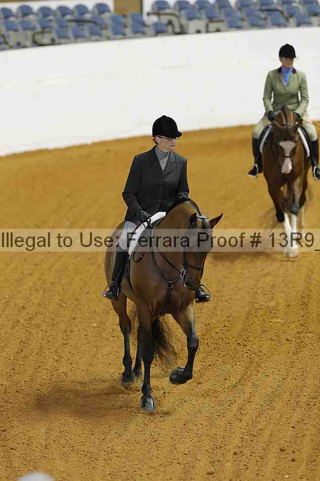Proof Number 13r9_3526