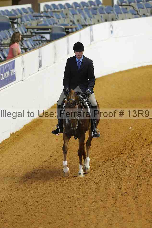 Proof Number 13r9_3546