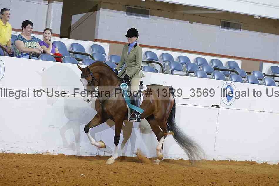 Proof Number 13r9_3569