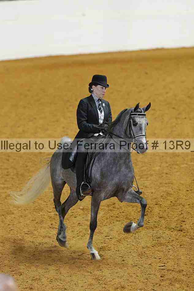Proof Number 13r9_3595