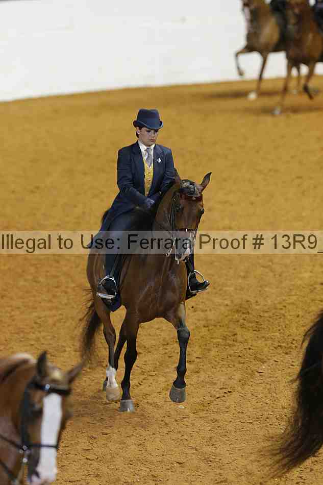 Proof Number 13r9_3614
