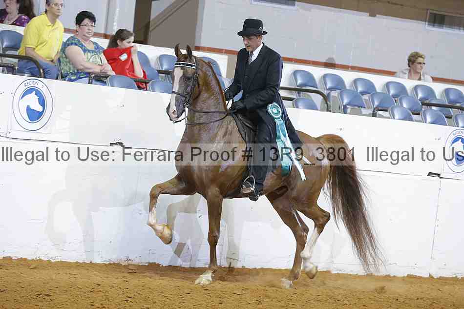 Proof Number 13r9_3801