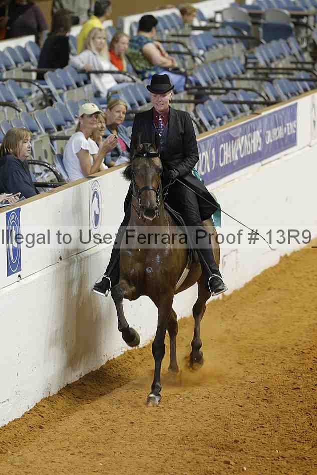 Proof Number 13r9_3802