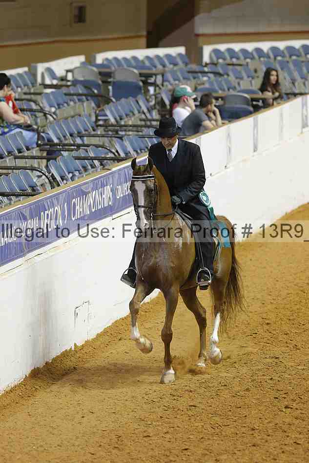 Proof Number 13r9_3803